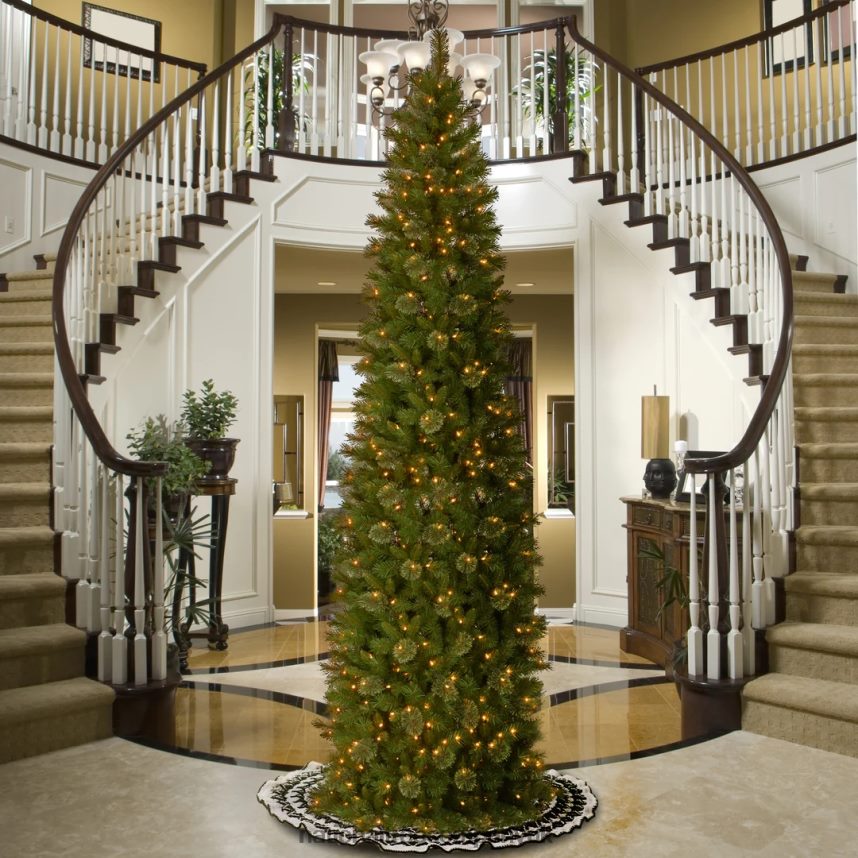 Trees | National Tree Company Pre-Lit Artificial Slim Christmas Tree Tacoma Pine Green White Lights Includes Stand 12 Feet F2L4F107